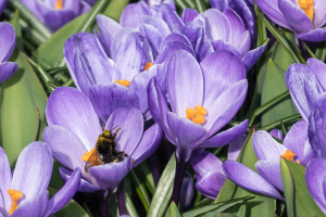 当年的黄金一代，如今能否再次捧起世界杯冠军奖杯