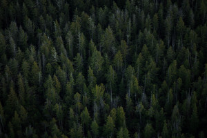 原来巨星也有“烦恼”!本泽马世界杯期间的这番话,惹人深思!