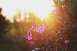 凯恩状态火热,能否带领英格兰打破大赛冠军荒 凯恩状态火热,能否带领英格兰打破大赛冠军荒